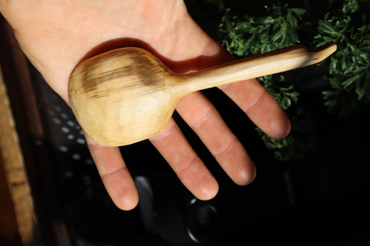 Spalted Elm Scoop