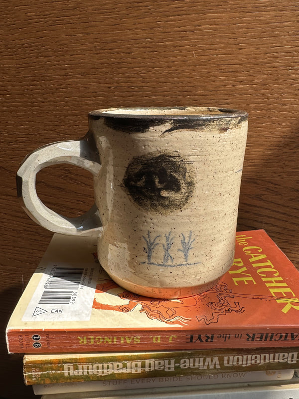 FLASH