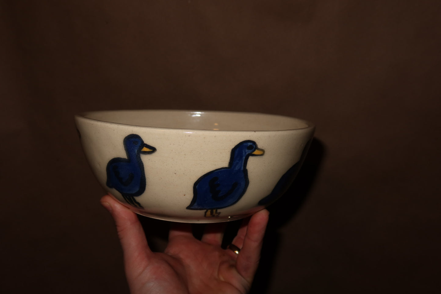 Duck Bowl