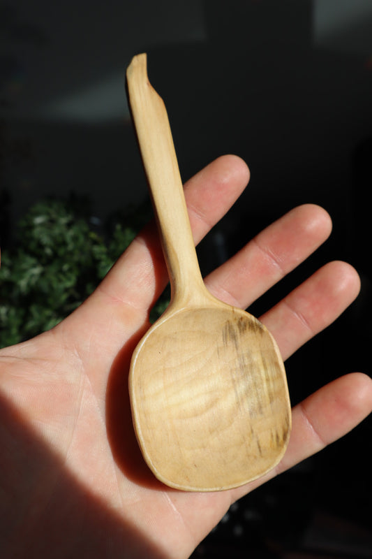 Spalted Elm Scoop